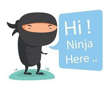 code ninja